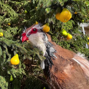 Partridge in a pear tree