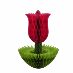HONEYCOMB PAPER FLOWER  61CM PINK