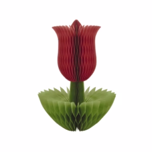 HONEYCOMB PAPER FLOWER  61CM SIESTA