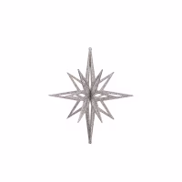 A christmas silver slot star decoration